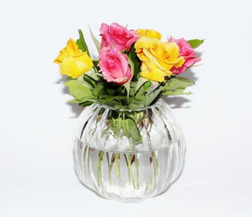 vase crystal vase roses
