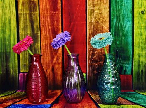 vases colorful flowers