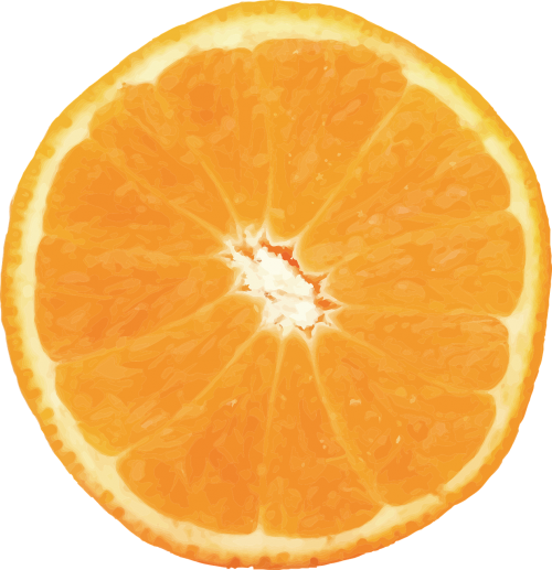 orange vector fruit