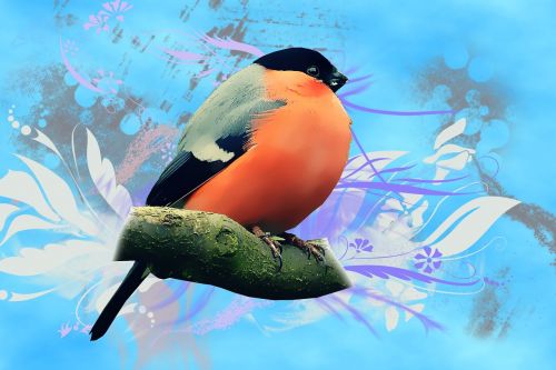 vector bird background
