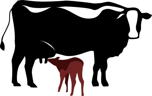 cow calf symbol