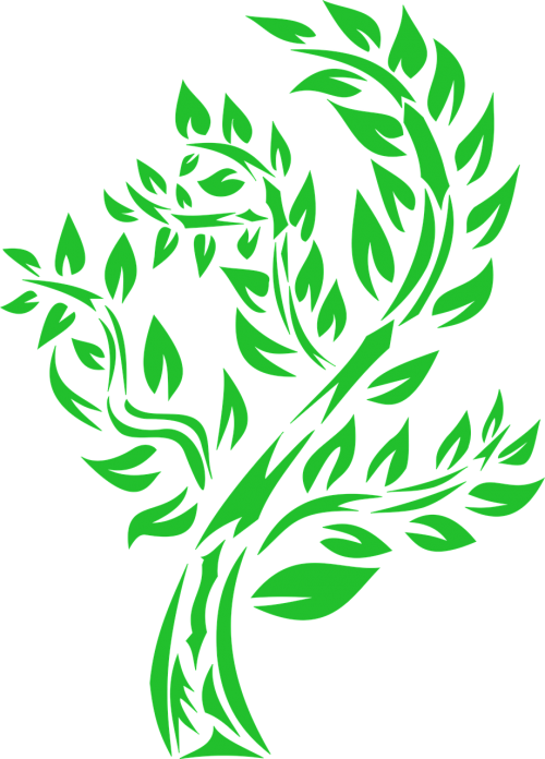 vector tree foliage