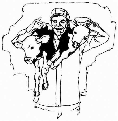 Cattle Dealer