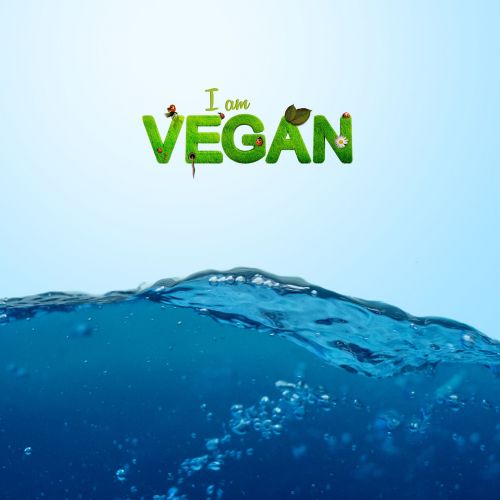 vegan vegetarian healthy
