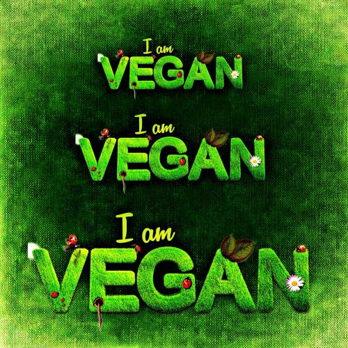 vegan healthy attitude nutrition