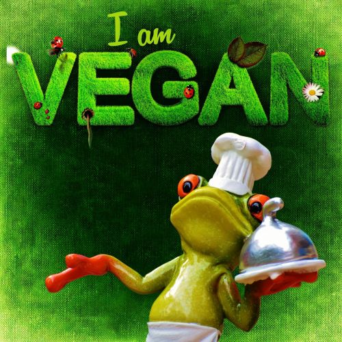 vegan healthy frog