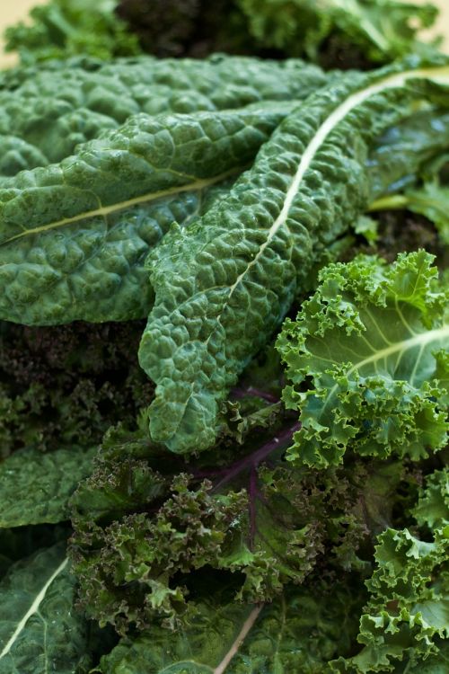 vegetable green kale
