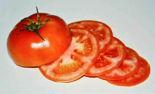 vegetable tomato fair