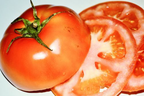 vegetable tomato fair
