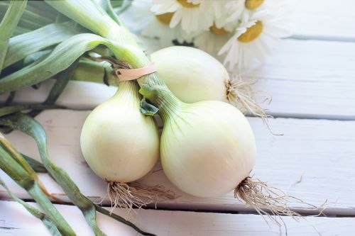 vegetable onions food