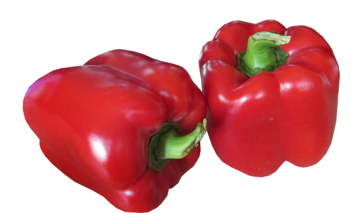 vegetable capsicum red