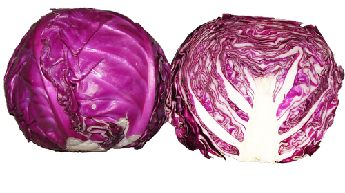 vegetable  red cabbage  food