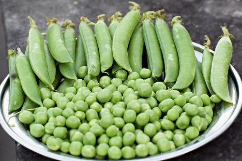 vegetable  peas  green