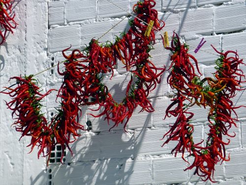 vegetable chili pepper drying
