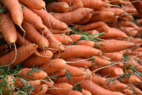 vegetables veggies carrots