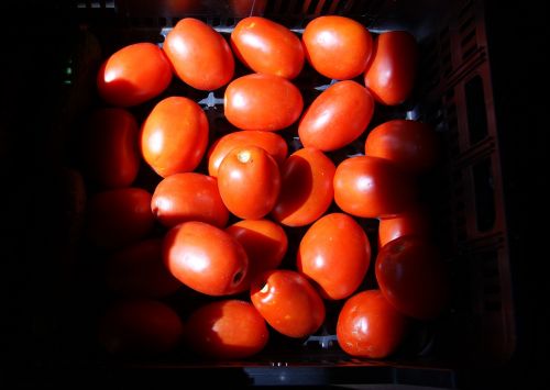 vegetables tomato light