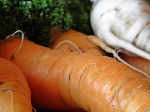 vegetables carrots radish