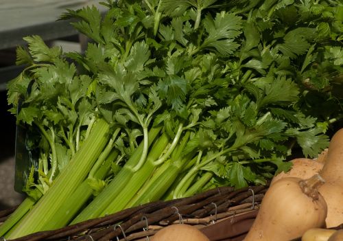 vegetables celery turnips