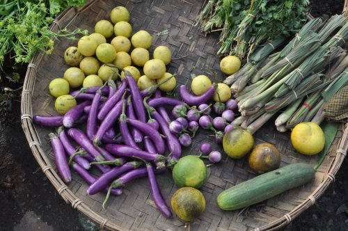 vegetables market eggplant