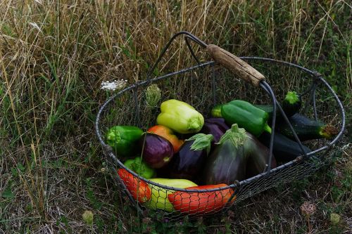vegetables basket organic vegetables