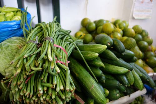 vegetables production agriculture