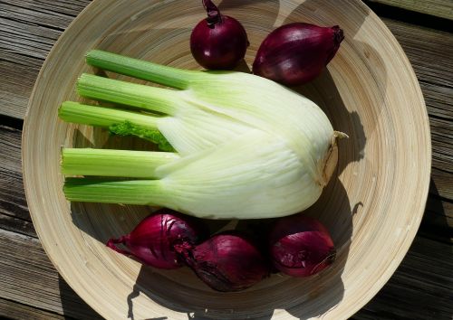 vegetables fennel food