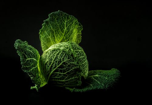 vegetables cabbage forget