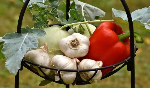 vegetables  paprika  garlic