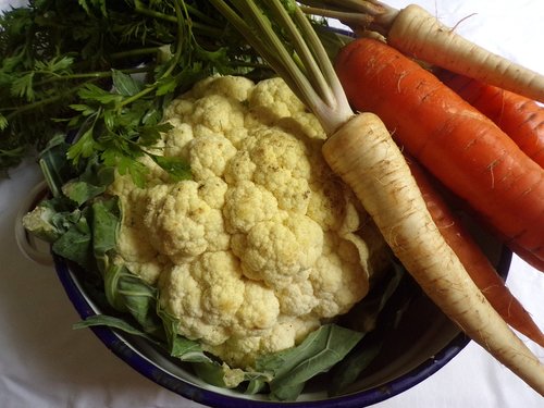 vegetables  carrot  turnip