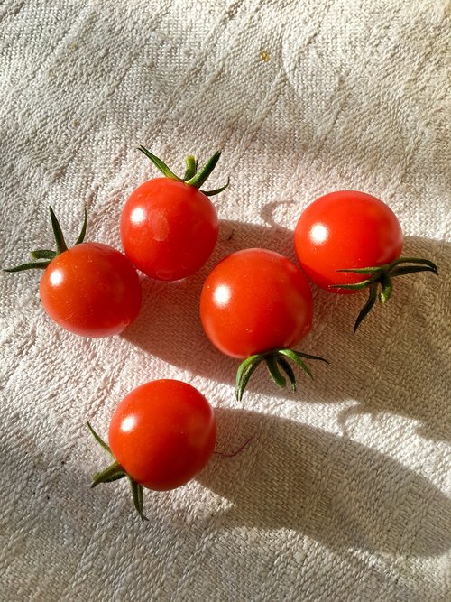 vegetables  tomato  tomatoes