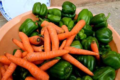 vegetables  farm  fresh
