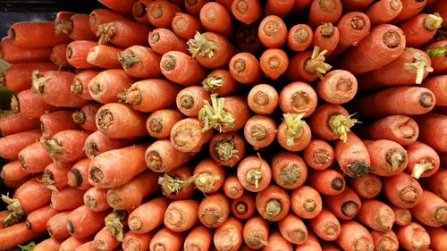 vegetables  carrot  eat healthy