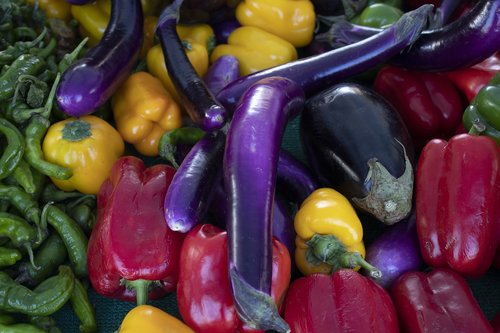 vegetables  eggplant  bell pepper