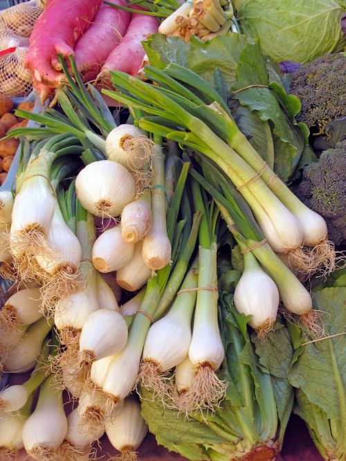 vegetables market onion