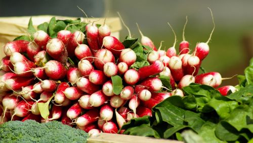 vegetables radish vitamins