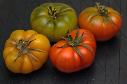 vegetables macro tomatoes