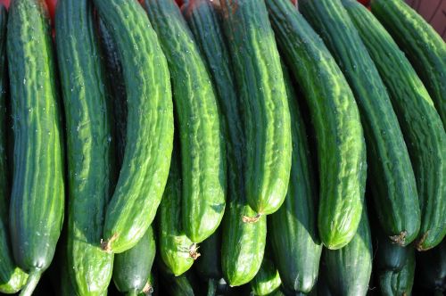vegetables cucumber food