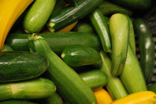 vegetables gardener vegetable garden