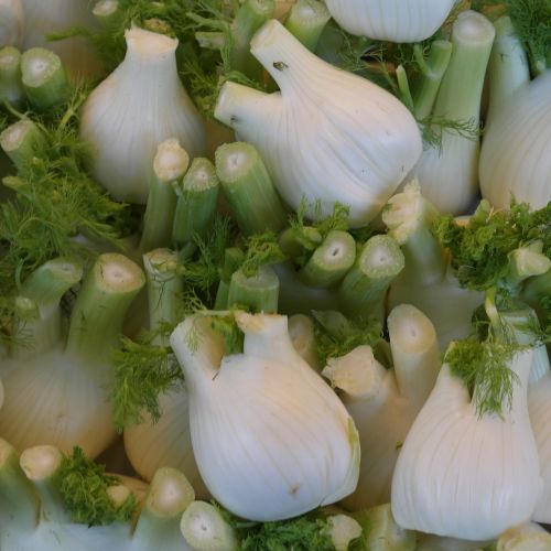 vegetables fennel food