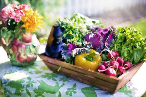 vegetables garden harvest