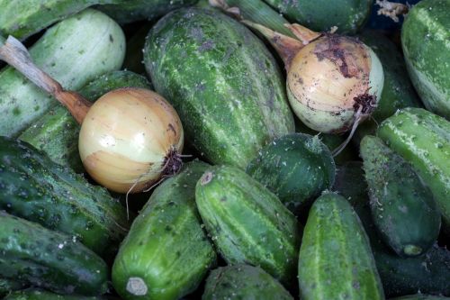 vegetables cucumbers onion