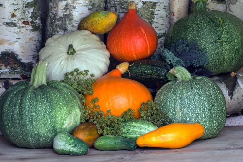 vegetables pumpkins zucchini