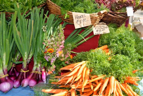 Vegetables For Sale