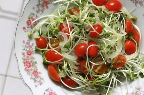 vegetarian salad tomato