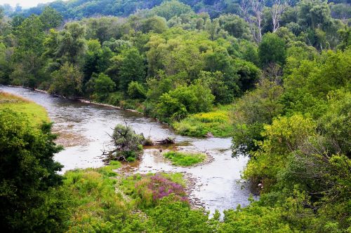 vegetation view landscape