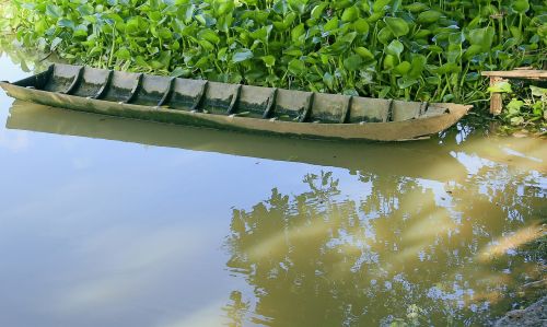 vehicle canoe wood shade