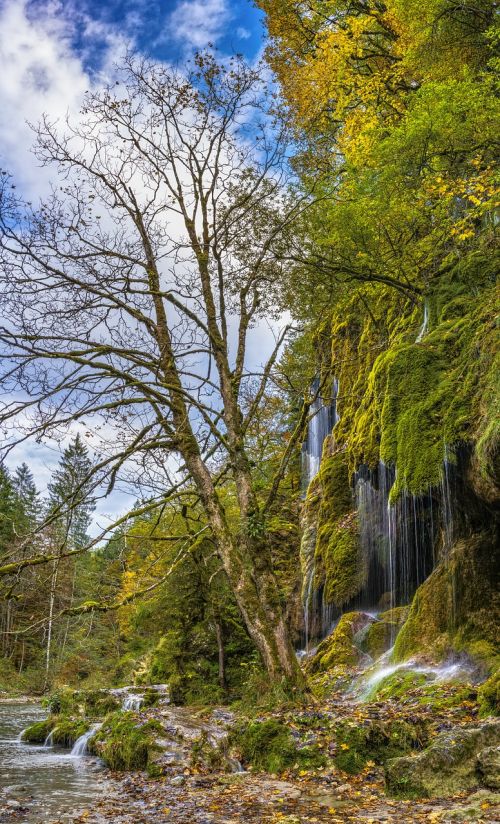 veil cases waterfall autumn