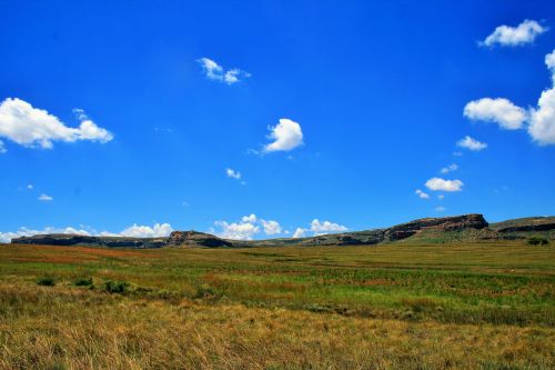 Veld And Sky