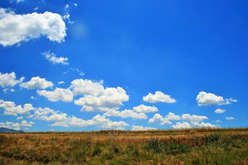 Veld Under The Sky