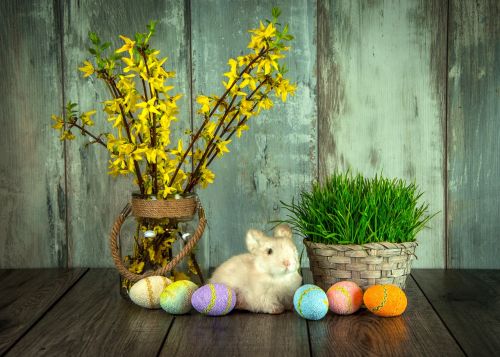 easter holiday hare